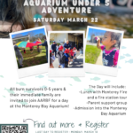 Flyer Thumbnail